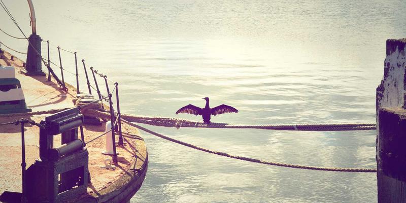 从制造到再生:可拆解结构与单一材料策略如何重塑机箱机柜的循环未来